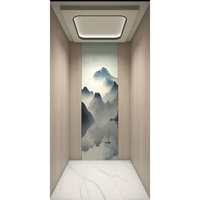 Ascenseur domestique moderne à entraînement par traction sans engrenages, en acier inoxydable, silencieux, à économie d'énergie, sur mesure, pour villa de luxe, résidence privée