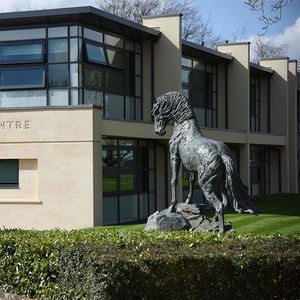 Statue De cheval en Bronze, grande taille, Sculpture De jardin - Product Image 3