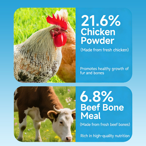 Customizable Adult <strong>Dog</strong> <strong>Food</strong> Multiple Flavors &amp; Shapes Adjustable Protein Content Low Price China Wholesale Pet <strong>Food</strong> - Product Image 3
