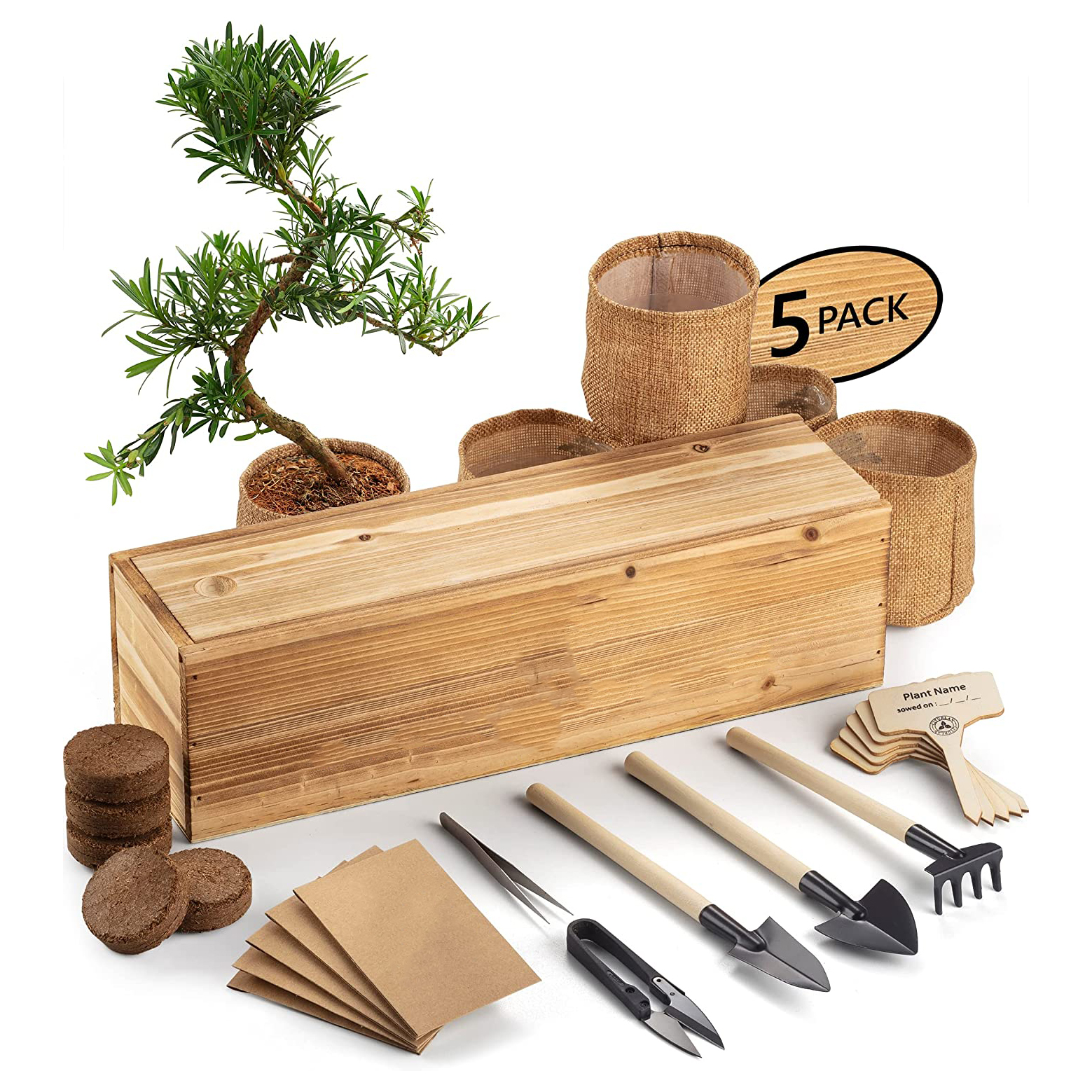 Bonsai Tree Kit 5 Unique Japanese Trees Complete Indoor Starter Kit for  Flower Pot with Bonsai Tools Planters| Alibaba.com