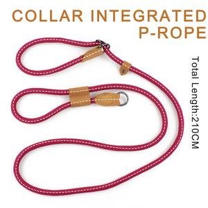 Correa personalizada para perros, cuerda antideslizante, correa de nailon para perros manos libres, correas de plomo de entrenamiento sin tirones para perros medianos, grandes y pequeños - Product Image 3