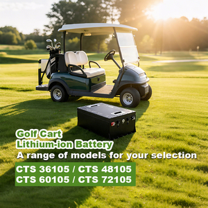 Batterie au lithium LiFePO4 CTS 48V 100Ah pour voiturette de golf électrique et véhicule électrique neuf (NEV) avec charge rapide - Product Image 2