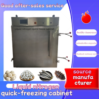 Petite machine de congélation rapide à l'azote liquide Modèle personnalisable Machine de congélation rapide Congélateur de crème glacée aux fruits et légumes