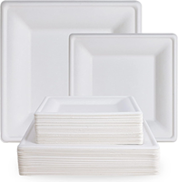 Ecologische vierkante suikerrietbagasse borden, wegwerpbaar, biologisch afbreekbaar, composteerbaar, voor feesten en catering.