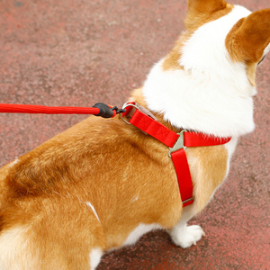 สายจูงสุนัขแบบกลมมีมือจับทำจากโฟมเชือกสำหรับปีนเขา - Product Image 4