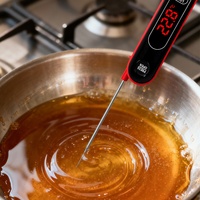 Thermomètre numérique de cuisine pliable haute précision en acier inoxydable 304, étanche, avec écran LCD résistant à la chaleur pour la cuisson