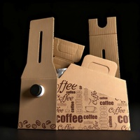 Sachet de café personnalisé anti-fuite en boîte, carton imprimé sur mesure pour le stockage et la distribution commerciaux de café infusé à froid et de concentré
