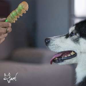 Köpek oyuncak Pet fabrika kaynağı interaktif çiğnemek oyuncaklar köpekler için çiğnemek oyuncak köpekler diş temizliği önlemek can sıkıntısı giderir - Product Image 5