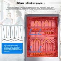 Armoire de désinfection verticale commerciale, stérilisateur à porte unique, verre trempé, infrarouge électrique haute température