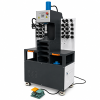 Prensa Hidráulica para Bujes de Goma de Chasis Amsxzo HY-3001, 20MPa, 1.5kW, 220V, 50-60Hz, 380kg, con Estuche Rígido para Talleres de Reparación de Automóviles