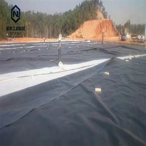 Geomembrana Composta de HDPE de Alta Qualidade 1mm para Lagoas, Estilo de Design Industrial - Product Image 4