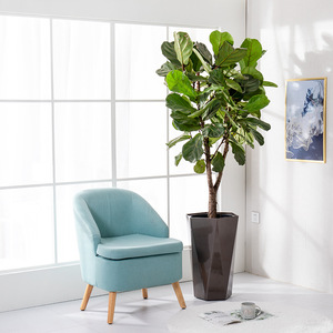 Pot de fleurs rond <span class=keywords><strong>pas</strong></span> <span class=keywords><strong>cher</strong></span>, Pots de fleurs modernes et jardinières DEEPBANG faible quantité minimale de commande, Pots de fleurs et jardinières à arrosage automatique, <span class=keywords><strong>Support</strong></span> de jardinage - Product Image 6