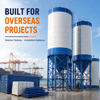 Silo en acier de grande capacité avec déchargement par le bas en cône pour le stockage industriel en vrac de ciment, de cendres volantes et de poudres minérales