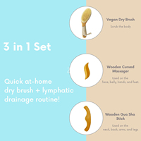 Brosse corporelle ZY personnalisée avec logo pour drainage lymphatique, brosse à sec végane avec manche ergonomique antidérapant, outils de massage en bois pour thérapie.