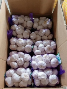 مورد الثوم الطازج الممتاز بالجملة من مصنع شاندونغ الصيني، ثوم أبيض بالجملة بسعر تنافسي ومعايير تصدير - Product Image 3