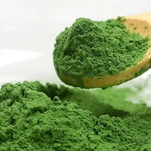 عصير عشب الشفط Stevia الحلو خالي من السكر من مصنع المعدات الأصلي مسحوق مشروب معزز للتغذية