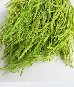 ยูนันขายส่งดอกยูลาลิโอปซิส บินาต้าแห้งสวยงามสำหรับตกแต่งงานแต่งงาน - Product Image 3