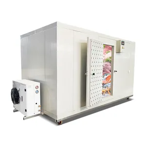 Refrigerator Unit Manufacture Blast Freezer Walk in Chamber/Chiller/Fridge/Commercial Cold Room Storage Price for Fruit and Meat