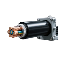 Câble d'alimentation blindé en cuivre isolé XLPE LSZH 0,6/1 kV, faible émission de fumée, zéro halogène, SWA STA IP67 -40°C~90°C pour projets souterrains
