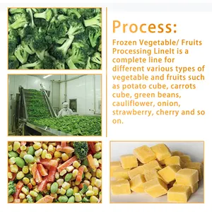 Linea di lavorazione automatica di verdure di alta qualità certificata CE TCA linea di produzione automatica di piselli congelati verdure surgelate
