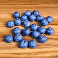 Liontin Buah Blueberry 3D Simulasi Resin 1.5cm, Aksesoris DIY Makanan Lucu untuk Anting, Kalung, Gantungan Kunci, Akrilik & Lucite
