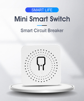 Interrupteur intelligent WiFi mini 16A 1 Gang 1 Voie en plastique, personnalisable OEM ODM DIY, compatible Tuya Google Alexa, avec minuterie et télécommande relais