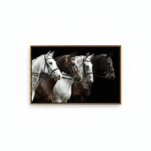 Four Horse Portrait <b>Canvas</b>, Elegant Equestrian Decor, Printed Artwork,GOLD <b>FRAMED</b> <b>CANVAS</b> - Product Image 2