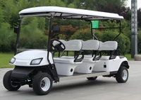 Carrito de Golf Personalizado de 6 Plazas, 300CC, 4 Tiempos, a Gasolina, para Uso Familiar y Comunitario