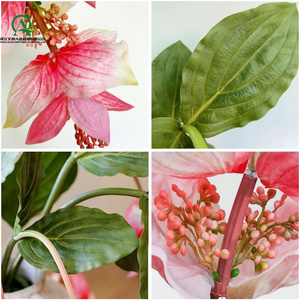 Artificial Medinilla <span class=keywords><strong>Magnifica</strong></span> PU Real Touch flores exóticas Tropical orquídea filipina Rosa planta de uva para la decoración del jardín del hogar - Product Image 4