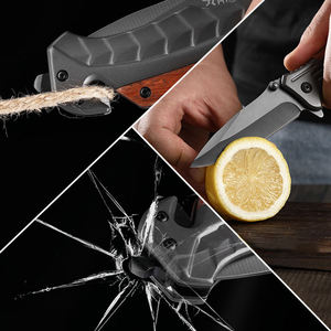 Nuevo Producto: Navaja Plegable con Mango de ABS para Camping, Caza y Supervivencia al Aire Libre - Product Image 3