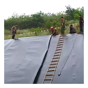 Công nghiệp-phong cách HDPE Composite <span class=keywords><strong>geomembrane</strong></span> cho cá và tôm trang trại đập bãi chôn lấp-chất lượng ao lót mức giá cạnh tranh - Product Image 6
