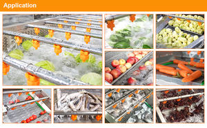 Precio de fábrica: Lavadora de cerezas y vegetales, limpiadora de mangos, máquina de limpieza de figos de espino, línea de clasificación, lavado y encerado de limones - Product Image 4