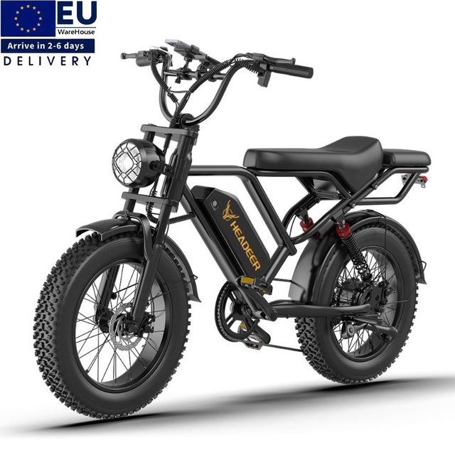 EU Stock Ebike 48v 20Ah 250w Emtb Retro E-Bike dual battery Electric Cycle Road Dirt Fat Tire Ebike Electric Mountain Bike