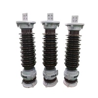 Paratonnerre céramique de haute qualité et économique Y5(10)WZ 110kV 220kV 500kV 750kV pour centrale électrique haute tension extérieure