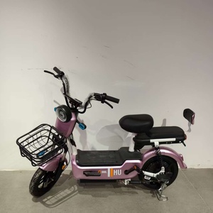 Bicicleta Eléctrica de Alta Calidad con Motor sin Escobillas de 500W, Batería de Plomo-Ácido de 48V, 3 Velocidades, Cuadro de Acero, Frenos de Tambor Delanteros/Traseros, Diseño Ligero - Product Image 1