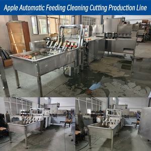 Commerciële appelontpitter en -schilmachine, automatische fruitwas- en schilmachine, <span class=keywords><strong>mango</strong></span>-appel-fruit schilmachine met transportband - Product Image 4