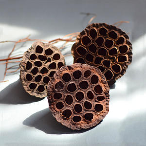 <span class=keywords><strong>ฝัก</strong></span><span class=keywords><strong>บัว</strong></span>แห้งฝักบัวดิบและแห้งโฆษณา - Product Image 1