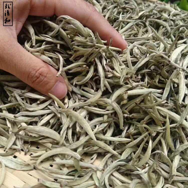 Tè bianco Bai Hao Ying Zheng Bai Mu Dan di alta qualità