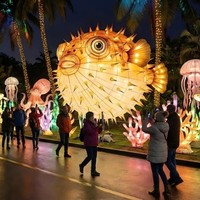 Decoración de Faroles con Forma de Animales Marinos para Parques de Atracciones, Uso en Interiores/Exteriores, Espectáculo de Luces para Parques Temáticos