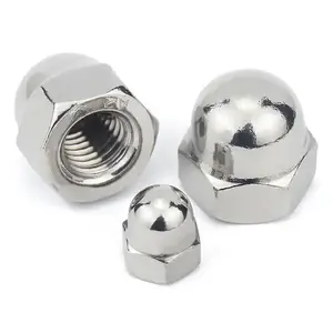 Stainless/Duplex Steel DIN1587 S31803/32750/32760/304/316 Cap/Spring/Coupling/Hex/Flange/Cap/Dome/Lock Nut