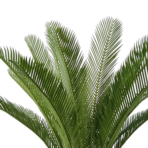 Planta de decoración del hogar directamente de fábrica, Sago <span class=keywords><strong>cycas</strong></span> artificiales para decoración de interiores - Product Image 4