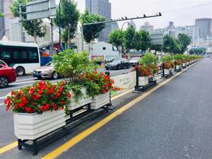 כביש עירוני קופסת פרחים רכבת תנועה מדרכה בידוד כביש ברזל נגד התנגשות מעקה - Product Image 2