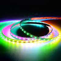 Tira de LED RGBW Impermeable IP68 Programable y Direccionable DMX