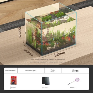 Hoogwaardig transparant glazen rechthoekig aquascaping-ecosysteem aquarium 5W milieuvriendelijk 5L kantoor woonkamer gespecialiseerd voor schildpadden en vissen - Product Image 6