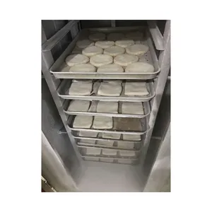 Hot selling 250KG large high quality cryogenic food freezing machine Type Quick Freezer