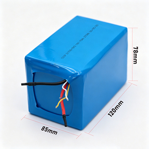Batterie Li-ion personnalisée 18,5V 15Ah 21700 5S3P 277,5Wh avec BMS pour trottinettes électriques, outils électriques et équipements médicaux - Product Image 2