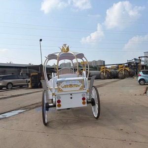 Usine vendant des carrosses citrouilles électriques blancs, nobles et exquis, pour princesses. Transport spécial. - Product Image 2