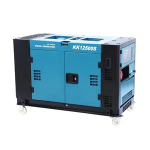 10KW 12KVA 2 실린더 수냉식 발전기 사일런트 휴대용 가정용 디젤 발전기 공장 가격