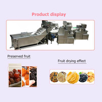 Automatische Gedroogde Groenten En Fruit Productielijn Gedehydrateerde Droge Vruchten Groenten Snijmachine Drogen Verwerking Machine