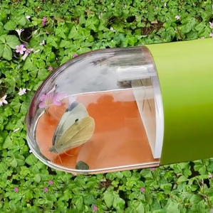 Attrape-insectes <span class=keywords><strong>transparent</strong></span> portable pour jouets d'intérieur et d'extérieur pour enfants, observateur d'insectes de type poussoir pour l'exploration extérieure - Product Image 3